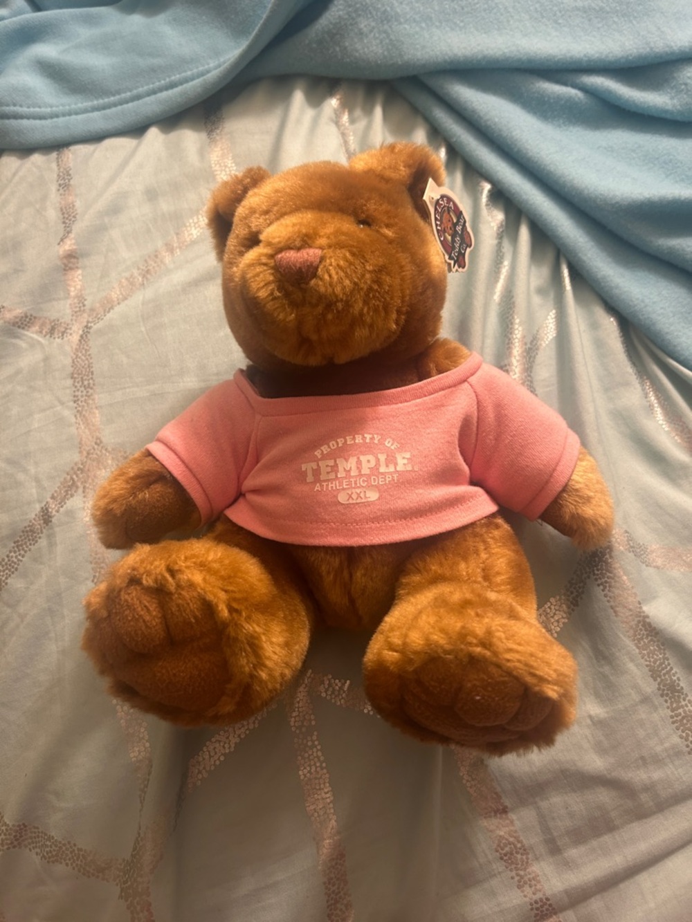 University Pink Shirt Brown Teddy Bear Plush